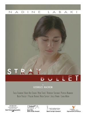 Stray Bullet's poster