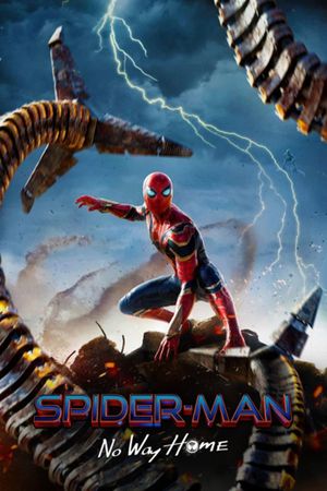 Spider-Man: No Way Home's poster