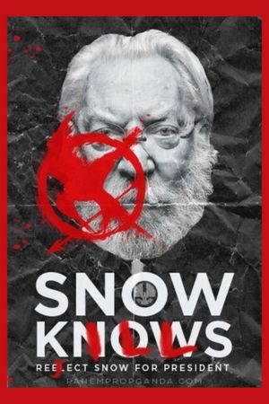 The Hunger Games: Mockingjay - Part 2's poster