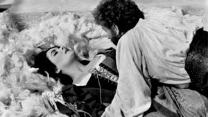 The Taming of The Shrew's poster
