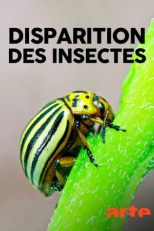 Das große Insektensterben's poster