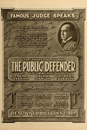 Public Defender's poster