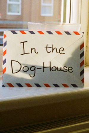 In The Dog-House's poster image