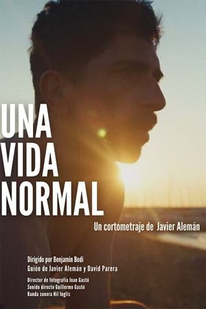 Una vida normal's poster