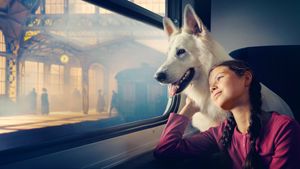 The Dog Who Travelled by Train's poster