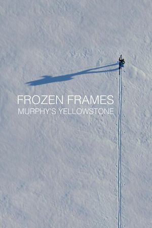Frozen Frames: Murphy's Yellowstone's poster