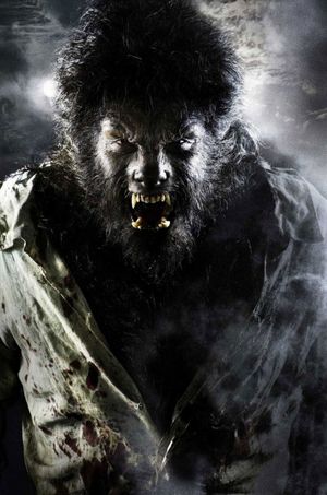 The Wolfman's poster