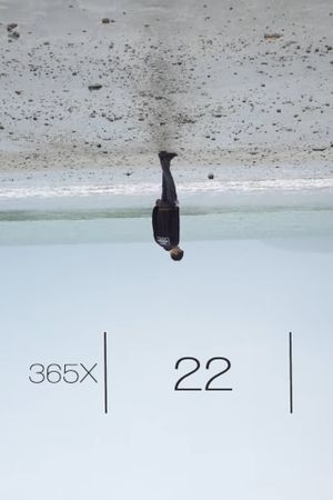 365x: 22's poster