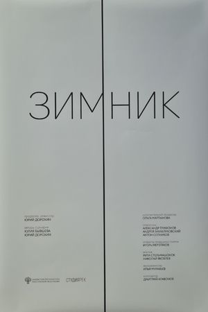The Winter Road's poster