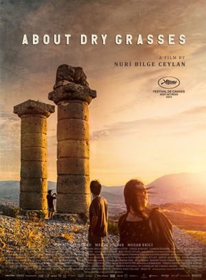 About Dry Grasses's poster