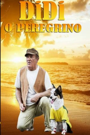 Didi, o Peregrino's poster