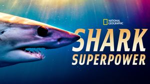 Shark Superpower's poster