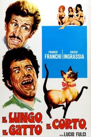 Il lungo, il corto, il gatto's poster