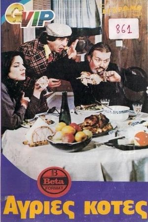 Wild Chickens's poster