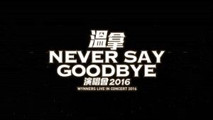 Never Say Goodbye - The Wynners Live In Concert 2016's poster