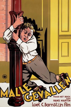 Malle gevallen's poster