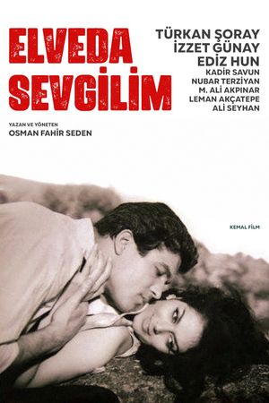 Good Bye, My Lover's poster
