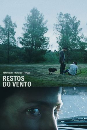 Remains of the Wind's poster