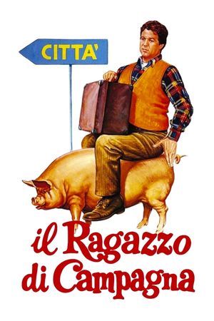 Il ragazzo di campagna's poster