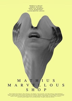 Mathius Marvellous Shop's poster