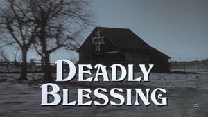 Deadly Blessing's poster