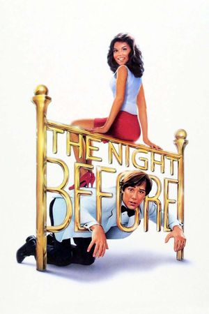 The Night Before's poster image