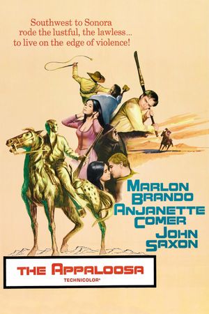 The Appaloosa's poster
