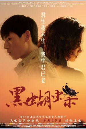 Dark Butterfly's poster