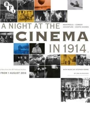 A Night at the Cinema in 1914's poster image