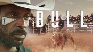 Bull's poster