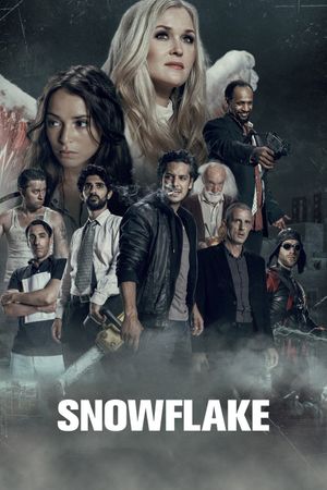 Snowflake's poster