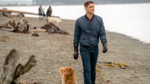 Walking the Dog's poster