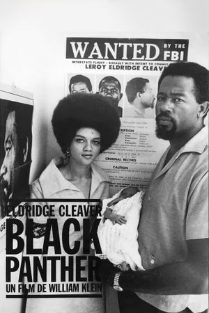 Eldridge Cleaver, Black Panther's poster