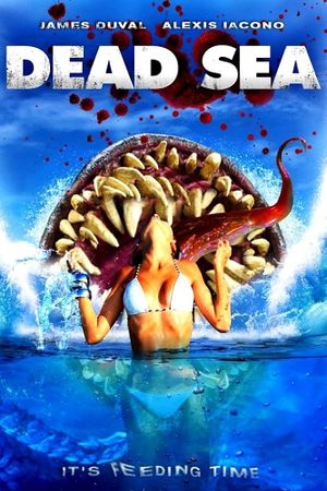 Dead Sea's poster