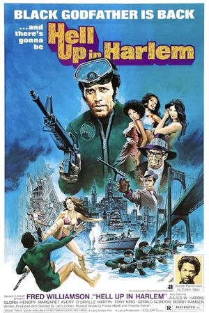 Hell Up in Harlem's poster