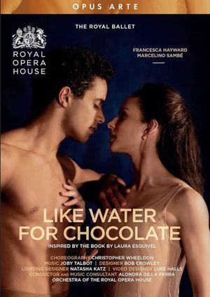 Like Water for Chocolate's poster image