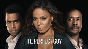 The Perfect Guy's poster