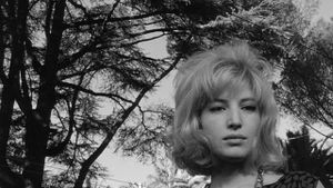 L'Eclisse's poster