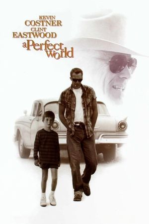 A Perfect World's poster