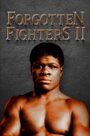 Forgotten Fighters II's poster
