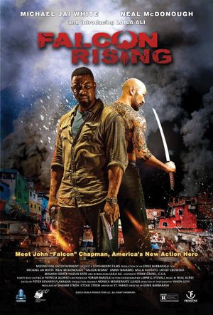Falcon Rising's poster