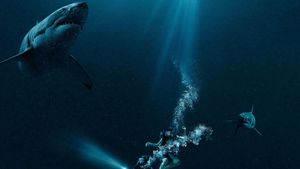 47 Meters Down's poster