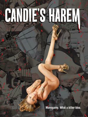 Candie's Harem's poster