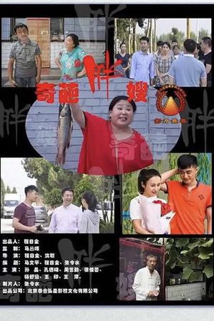 奇葩胖嫂's poster