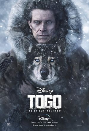 Togo's poster