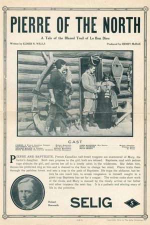 Pierre of the North's poster