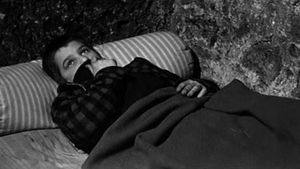 The 400 Blows's poster