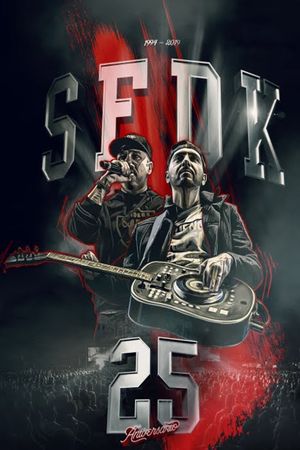 SFDK: Concierto 25 aniversario's poster