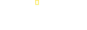 Port Security: Hamburg's poster