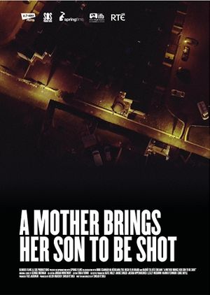 A Mother Brings Her Son to Be Shot's poster image